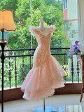 Vintage Champagne Sequin Design Mermaid Elegant Homecoming Dress Birthday Dress Party Dress HZ1024