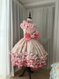 Vintage Pink 3D Floral Lace A-Line Design Tiered Party Dress Homecoming Dress HZ1024