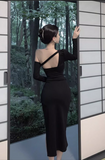 Vintage Elegant Asymmetric Design A-Line Split Long-sleeved Dress HZ1024
