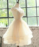 Light Champagne Organza with Lace Short Party Dress, Cute Champagne Homecoming Dress HZ1024