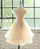 Light Champagne Organza with Lace Short Party Dress, Cute Champagne Homecoming Dress HZ1024