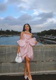 Chic Pink Strapless Bow Irregular Skirt Short Prom Dress Evening Gown HZ1024